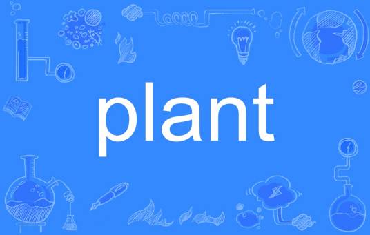 plant（英语单词）