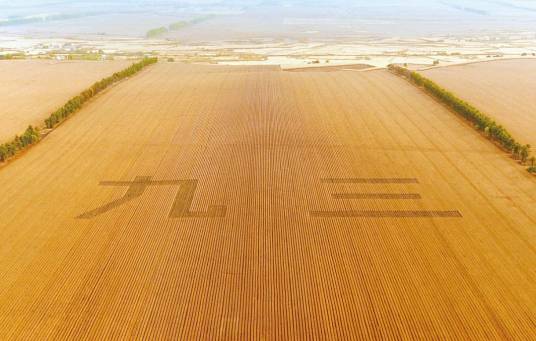 九三（全国著名的黑土地带）