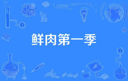 鲜肉第一季