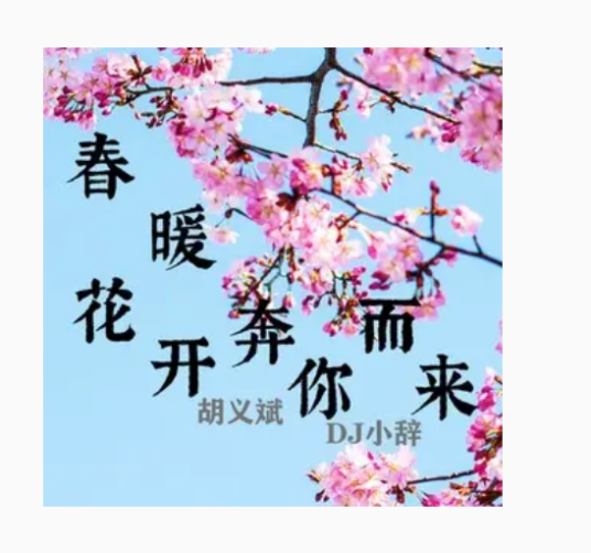 我要怎么说我不爱你