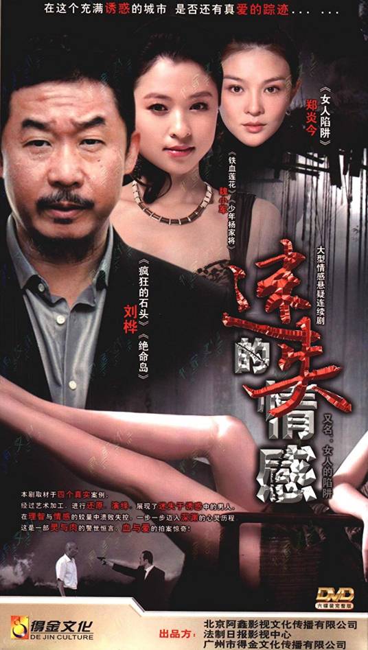 迷失的情感（李灌洪导演的电视剧）