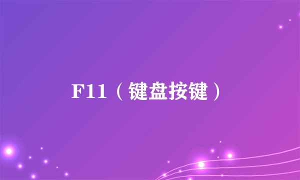 F11（键盘按键）