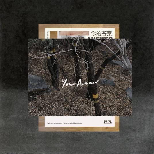 你的答案（2019年阿冗演唱歌曲）