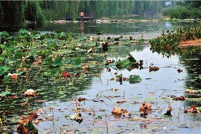 太平湖（北京市西城区太平湖）