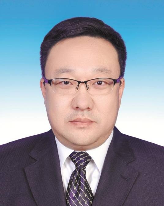 王琳（新疆维吾尔自治区党委常委、组织部部长）