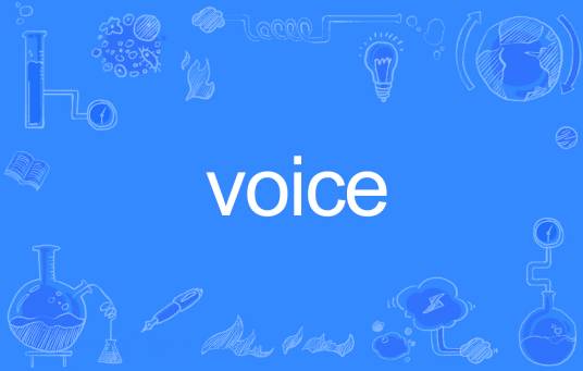 voice（英语单词）