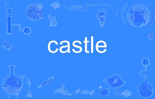 castle（英文单词）