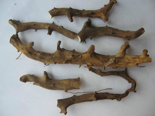 穿山龙（中药）