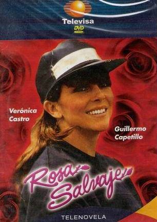 野玫瑰（墨西哥1987年罗萨主演电视剧）