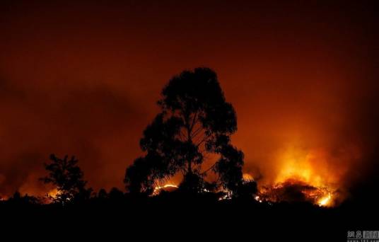 6·17葡萄牙森林火灾