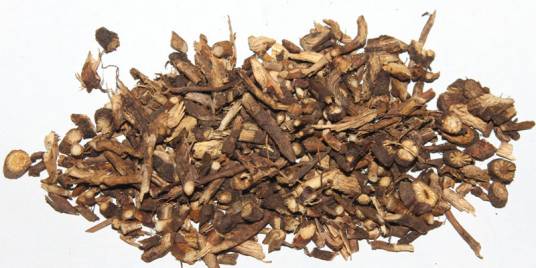 北豆根（中药）