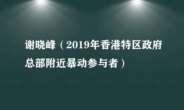 谢晓峰（2019年香港特区政府总部附近暴动参与者）