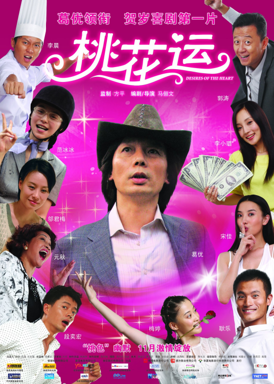 桃花运（2008年马俪文执导电影）