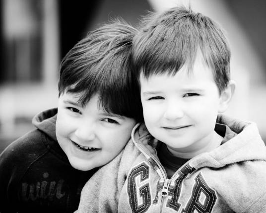 兄弟敦和睦，朋友笃诚信