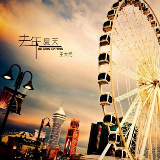 去年夏天（王大毛演唱歌曲）