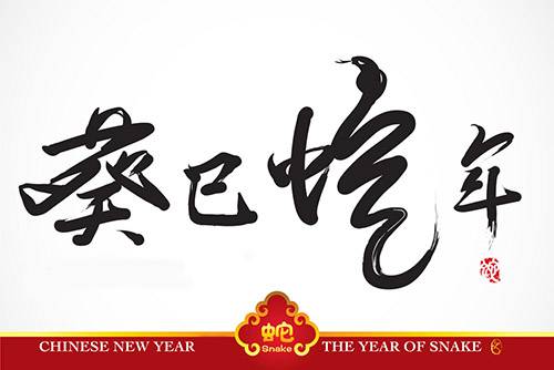 癸巳年（2012年发行的纪念币）