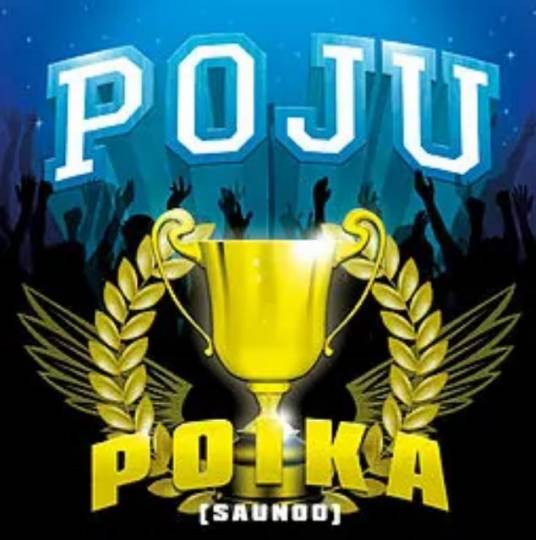 Poika Saunoo