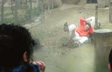 老虎咬死饲养员事件