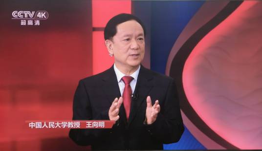 王向明（中国人民大学马克思主义学院教授）