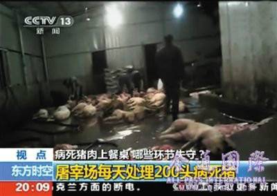 高安病死猪肉事件