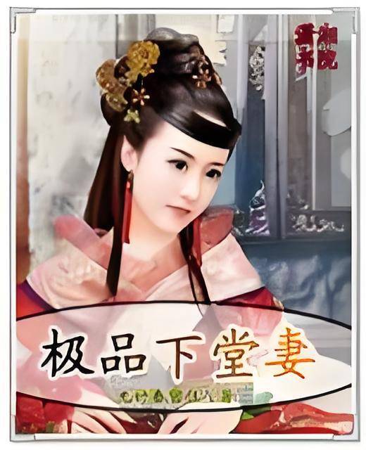 极品下堂妻