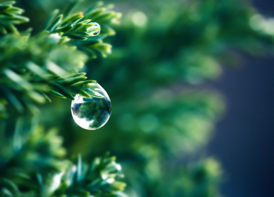 雨后（郭沫若创作的诗歌）