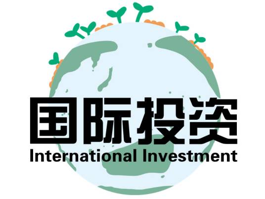 国际投资（2010年中国人民大学出版社出版的图书）