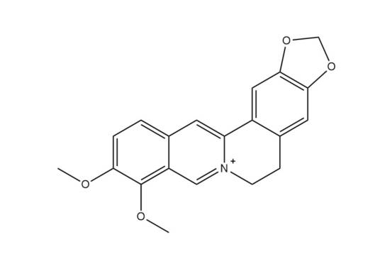 小檗碱（黄连素）