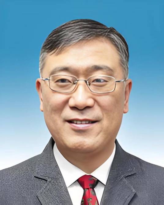 周磊（复旦大学副校长）