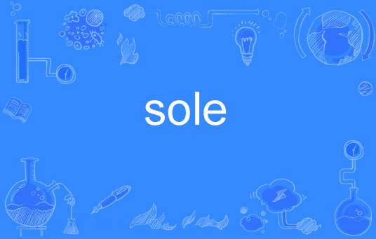 sole（英文单词）