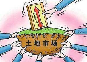 土地市场