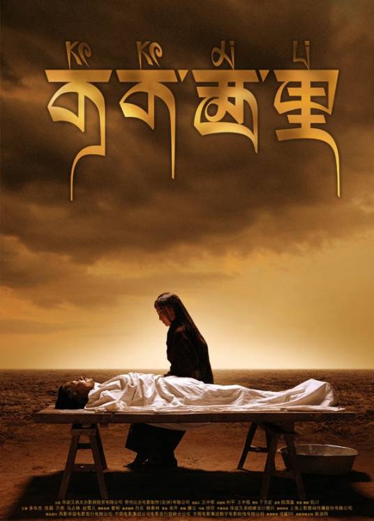 可可西里（2004年陆川执导的剧情电影）