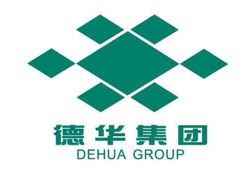 德华集团控股股份有限公司