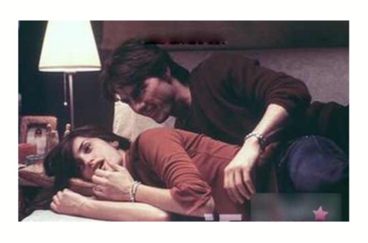 性感尤物（美国1999年麦克·宾德尔执导的电影）