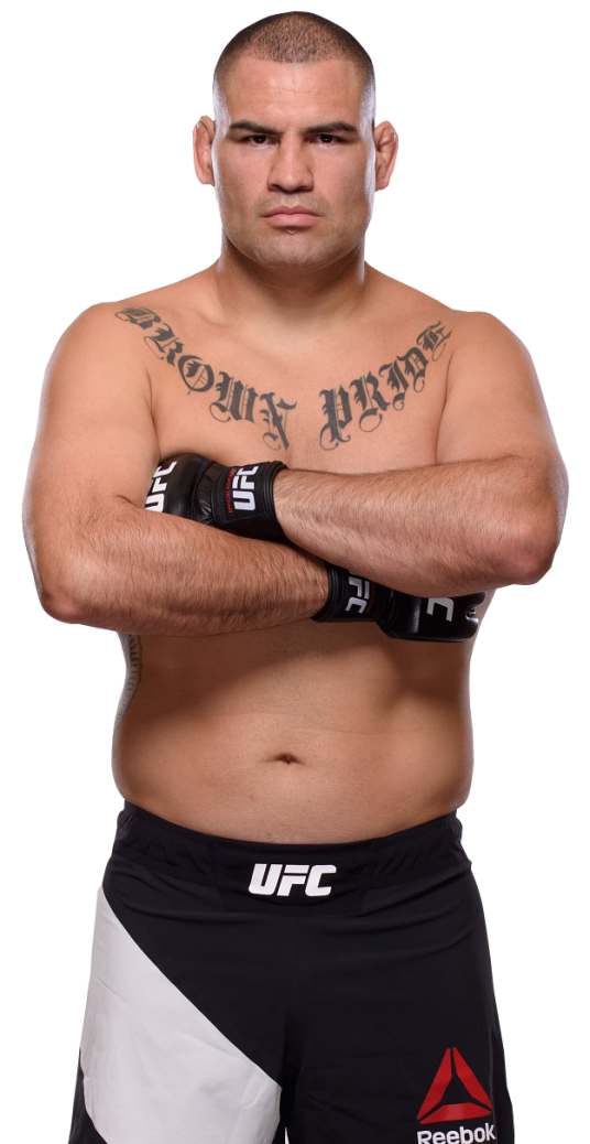 该隐·维拉斯克斯