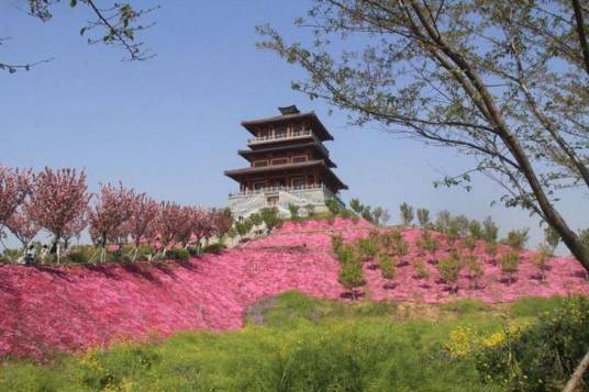 古柏渡丰乐樱花园