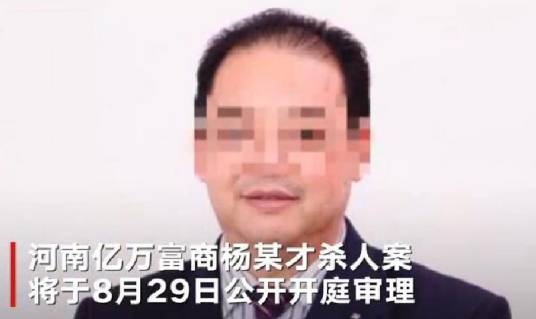 河南富商杀人案