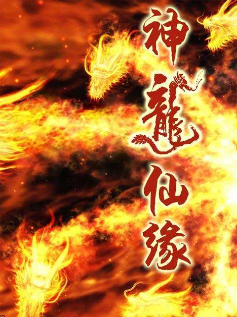 神龙仙缘