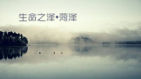 菏泽（中国上古九泽之一）