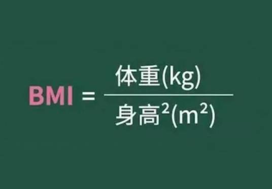 身体质量指数