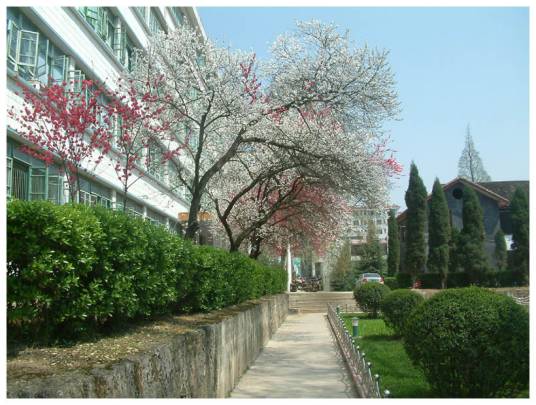 毕节学院图书馆