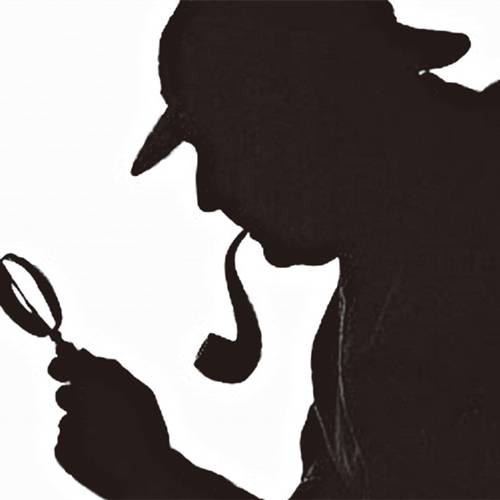 侦探（负责调查案件的职业）