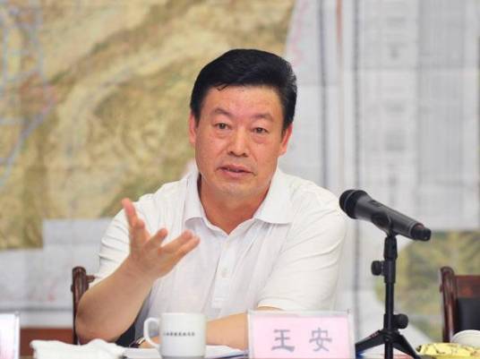 王安（中国国际工程咨询有限公司原党委书记、董事长）