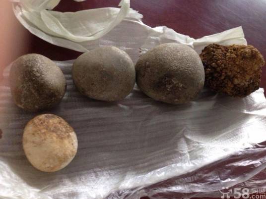 马宝（马胃肠中的结石）