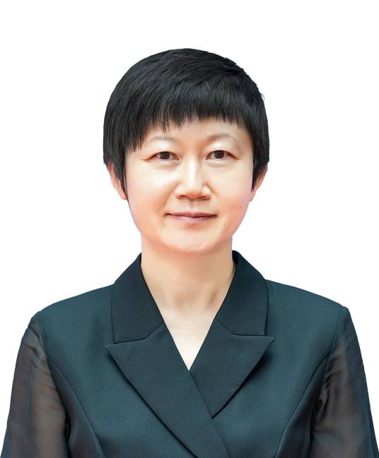 刘春梅（海南省海口市委副书记、政法委书记）