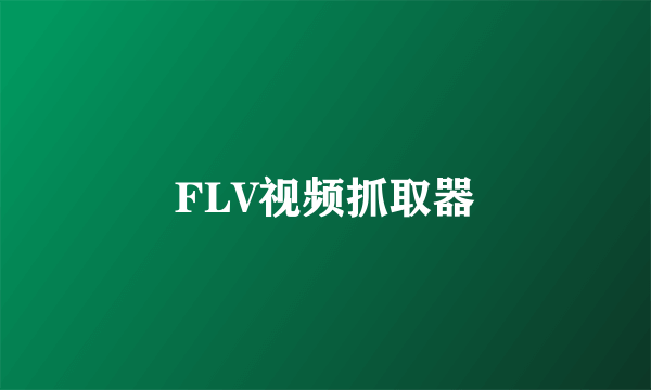 FLV视频抓取器