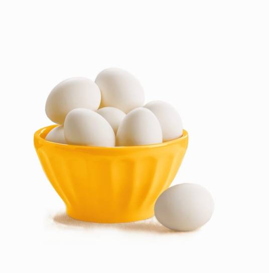 蛋（卵生动物的卵）