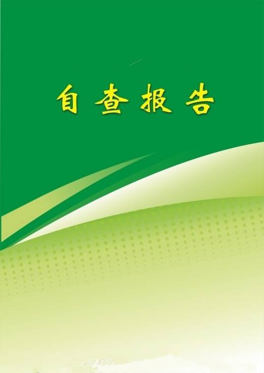 自查报告