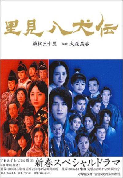 里见八犬传(日本2006年泷泽秀明主演的电视剧)