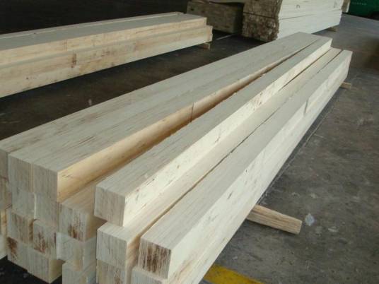 杨木（杨柳科杨属白杨树木材）